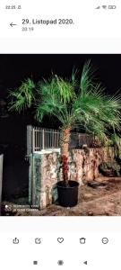 Holiday home Haustor with Skadar lake view