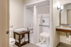 King Suite with Roll-in-Shower - Accessible/Non-Smoking room in Comfort Suites Fort Stockton