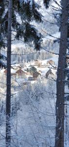 Hotels Timberlodge : photos des chambres