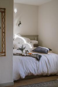 Elm Tree Cottage