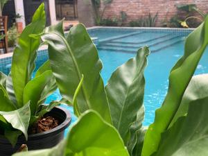 The J Break Boutique - Hôtels 4 étoiles à Kampot