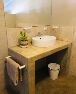 Yellow House Prince Albert