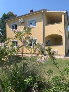 Apartment CReO Loborika