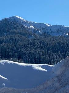 Appartement avec Vue sur la Montagne