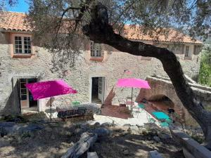 Villas Le Moulin de l'Ostriconi : photos des chambres