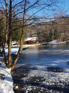 Chalets Insolite Chalet de peche Serenite - Bien Etre : photos des chambres