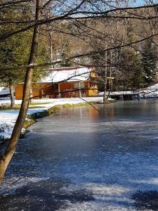 Chalets Insolite Chalet de peche Serenite - Bien Etre : photos des chambres