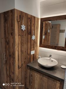 LA BRESSE - Appartement de Charme