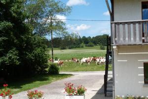 Maisons de vacances LA GRANGE DE HAUTE-JOUX : photos des chambres