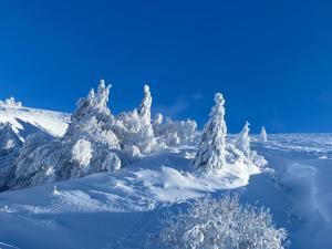 Hotels Hotel Les Mouflons : photos des chambres