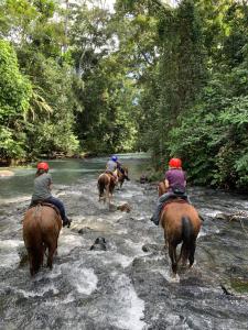 Hotel SueñoReal RioCeleste