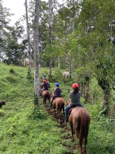 Hotel SueñoReal RioCeleste
