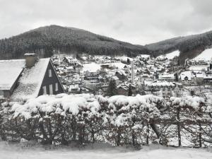 Ferienwohnung Wilmes