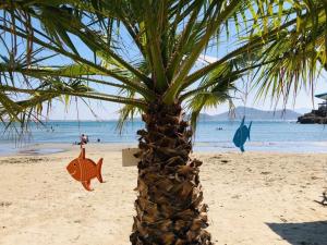 Beach cottage Flisvos ,St.George Naxos Greece