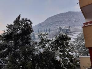 Appartamento