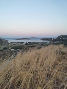 Agriolivadi View House Patmos Greece