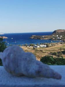 Agriolivadi View House Patmos Greece