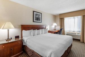 King Room - Non-Smoking room in Quality Inn & Suites Steamboat Springs