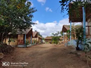 Hampi nature Cottage - Хампи