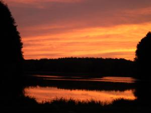 Ferienhäuser Waldidyll