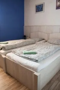 帕拉维达旅馆 - 克罗梅日什