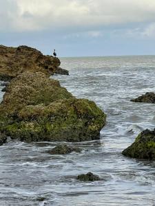 Serena del Mar, Morros IO