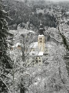Appartement T2+cabine indépendante au départ des télécabines Saint-GervaisBettexMont d’Arbois