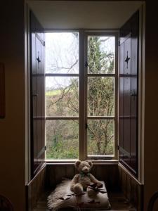 Nantgwynfaen Organic Farm Wales