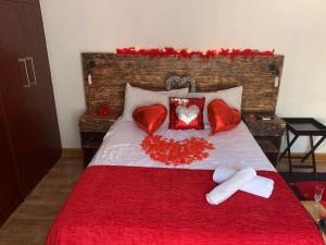 Midrand Bed and Breakfast