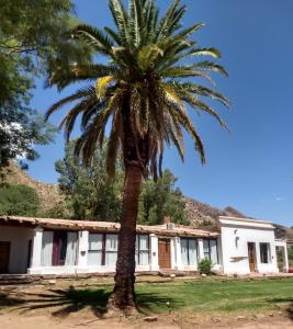 Hotel Hacienda Casa Blanca