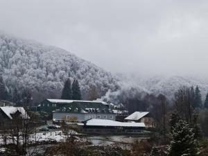 HOTEL HO2 POIANA MARULUI