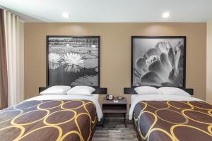 Studio with Two Queen Beds - Non-Smoking room in Super 8 by Wyndham Houston NW Beltway 8