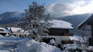 Appartements Balcony of lake Geneva : photos des chambres