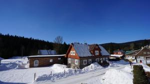 Chalet Schäfer s vyhřívaným bazénem se slanou vodou a saunou