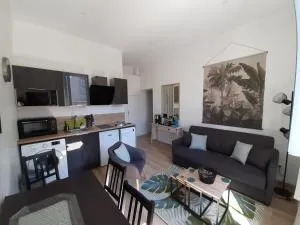 Duplex Bastié T3 calme et climatisé WiFi - Montplaisir