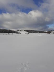 Maisons de vacances Gite de fontanes aubrac Margeride loups du gevaudan Lozere : photos des chambres