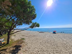 Camping Arinella Bianca photo 21