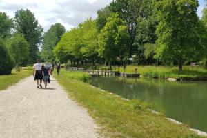 Maisons de vacances Gite de Palesne - Pierrefonds : photos des chambres