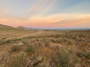 The Olive House, Prince Albert