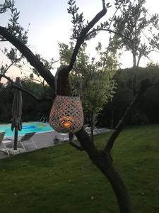 Dimorra Country House