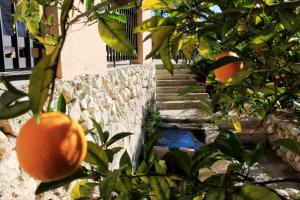 El Molinet del Governador- Apartamentos Rurales