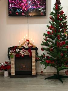 Apartament Andy Busteni 30 m de partie