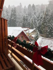 Apartament Andy Busteni 30 m de partie