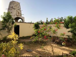 Elsanosy Family Guest House - Luxor