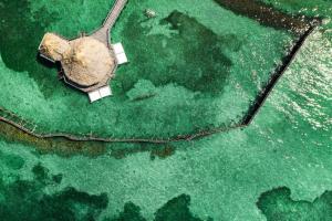 Thatch Caye Resort a MuyOno Resort