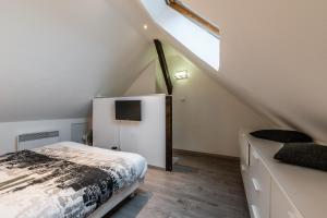 Appartements Le grand duplex du lac : photos des chambres