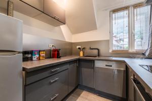 Appartements Le grand duplex du lac : photos des chambres