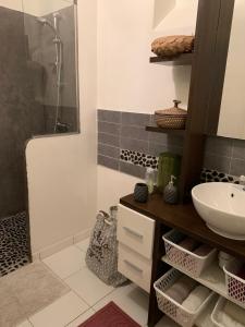 Appartements Charmant Logement a Vierzon centre : Appartement 1 Chambre