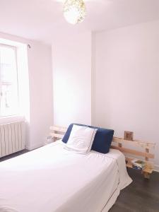 Tres Charmant Logement a Vierzon