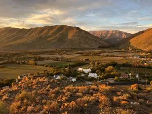 The Olive House, Prince Albert - Prince Albert